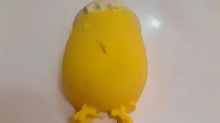 Lush Easter Bunny Bath Bomb/Chick on a Stick reusable Bubble Bar Demo Part 2