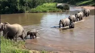 Healthy habitat, epic sightings&mdash;this sunset safari delivers.