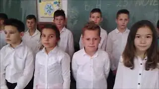 Dan državnosti BiH - online priredba JUOŠ 