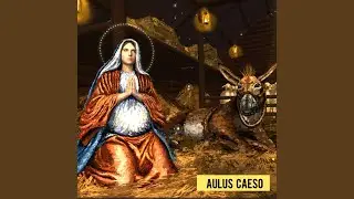 The Vision of the Holy Mother Mary