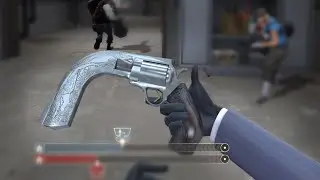 TF2 - My Ambassador looks Weird :(