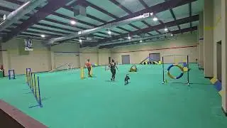 Nessie training runs 10-16-25