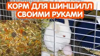 How to Make Chinchilla Food Yourself