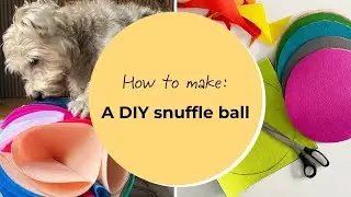 How to make a DIY snuffle ball