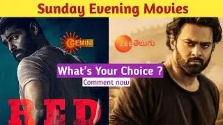 Sunday ( 23-05-2021 ) Prime Time Movies in Telugu TV Channels | Gemini Sunday Movies | Star Maa