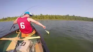 Tobermory Bass Fishing 2015