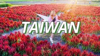 THINGS TO DO IN TAIWAN | Exploring Taiwan