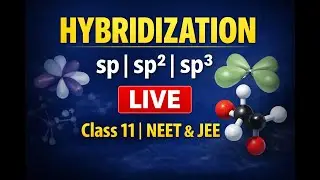 🔴 LIVE: Hybridization | Chemical Bonding | Class 11