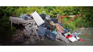 Evergreen Junk Trash Removal in Pompano Beach, FL