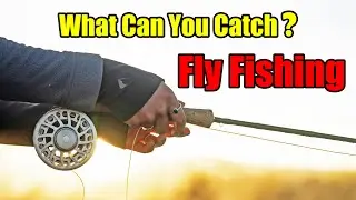 What Kind of Fish Can You Catch With Fly Fishing?