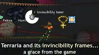Terraria's invincibility frames; one of the few grace that game grant...