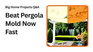Stop Pergola Mold Fast Easy Cleaning Tips You Need