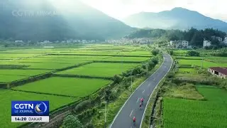 China Media Group publie le top 10 des actualit&eacute;s sur la revitalisation rurale en 2025