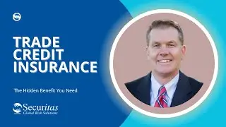 Trade Credit Insurance: The Hidden Benefit You Need