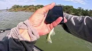 A Day at Lake Stanley Draper