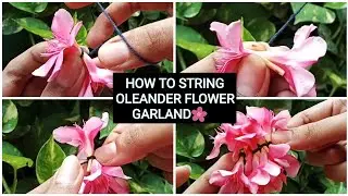 HOW TO STRING ARALI POO GARLAND|OLEANDER FLOWER GARLAND| அரலி பூ கட்டுவது எப்படி|MONO EYE