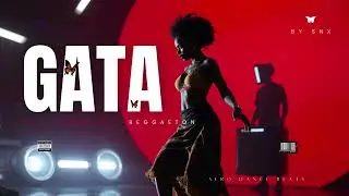 Gata Fierce Afrobeats-Reggaeton Dance 2025 By SNX