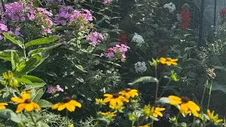 Hey Kim! It&rsquo;s the Late Summer Gardens!!