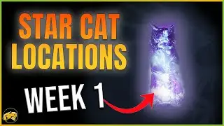 Destiny 2 - Starcat Locations - Week 1 - Blind Well - Garden of Plenty - Season of the Wish