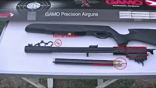 Gamo Arrow Différents Modèles et Législation (N°323)