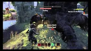 The Elder Scrolls Online: Kari's Hit List Shadowfen