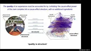 Giulio Tononi: Consciousness as structure: a perspective from IIT 4.0