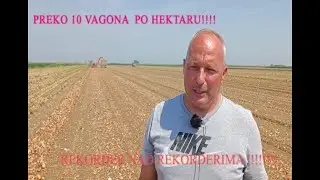 PREKO 10 VAGONA  PO HEKTARU CRNOG LUKA DRAGAN GULJAS IZ SILBASA