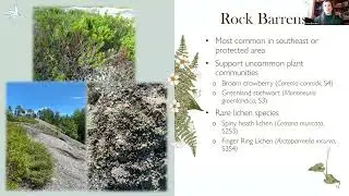 Flora & Lichens of Blue Mountain - Birch Cove: Fiona Brooks