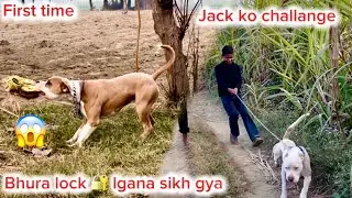 Bhura grip lgana sikh gya 😱 || jack ko challange de dia bache ne 