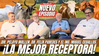 20 MIL PREÑECES DOBLES | Panorama Agropecuario