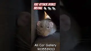Rodent PROTECTION Device Installation Against Car Rats 🐁🐁🐁