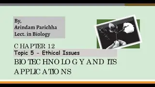 XII Chapter 12 Topic 5 - Ethical issues