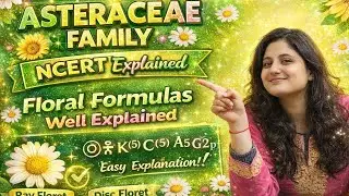 ❗ ASTERACEAE FAMILY NCERT EXPLAINED SHORT NOTES FOR NEET ❗WATCH THIS ⚡➡️