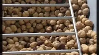 Making hazelnut spread cream