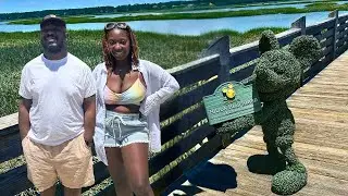 Anniversary Bliss at Disney's Hilton Head Island Resort! 🐬🍳🏖️ | Dolphin Watching & Brunch Fun