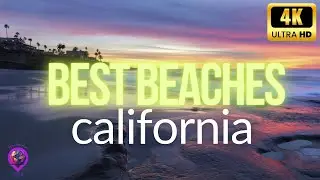 Ultimate California Beach Travel Guide | BEST BEACHES in California 2024 (Cali beach bucket list)