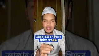 আল্লাহ যেভাবে পাখিদের রিজিক দেন