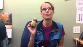 Balanced B Complex Mega Food