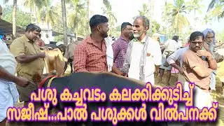പശു കച്ചവടം കലക്കികുടിച്ച് സജീഷ്..പാൽ പശുക്കൾ വിൽപനക്ക്