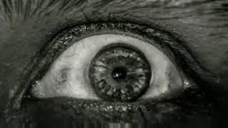 Zeotropic app magic ...motion picture