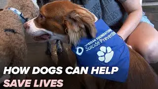 How a man's best friend can help save lives