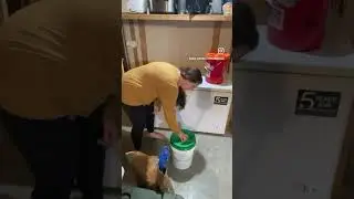 Azure pickup means time to restock! #bulkstorage #foodstorage #azurestandard