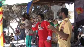 THE LIONS-REGGAE PON THE MOUNTAIN