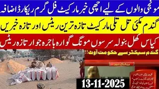 Today Wheat price in punjab//گندم کا ریٹ 2025/munji makki till sarso/Galla mandi rate today