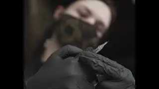 Natur Tattoo~ Botanical Blackwork Farn