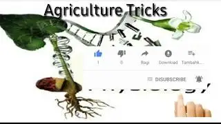 #plant physiology  #AGRICULTURE #biology #trick #ibps #pre pg 2020