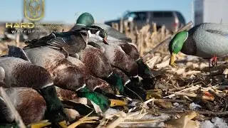 Dry Field Duck Hunting: Hard Core Waterfowl TV Episode 6