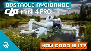 DJI Mini 4 Pro - How Good Is 