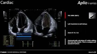 Auto EF Lv and LA ...