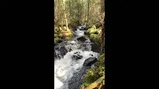 Avrinning Rammsj&ouml;n Dannike